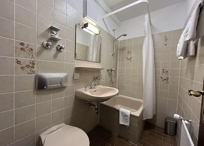 Hotel Garni Geisler 3*