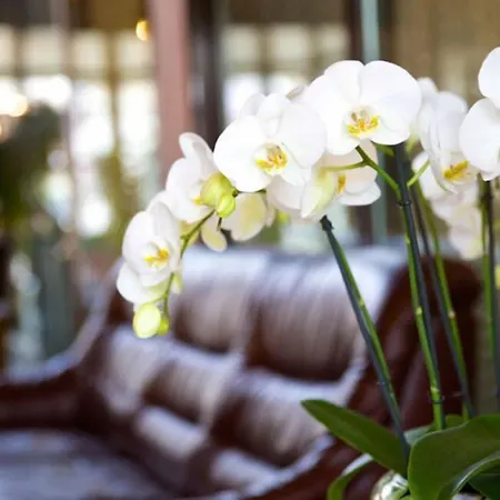 Hotel Garni Geisler 3*