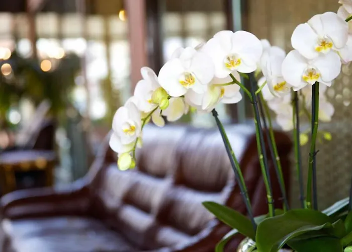 Otel Garni Geisler 3*