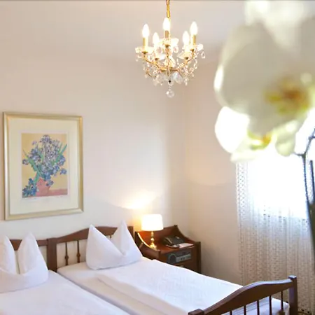 Garni Geisler 3* Cologne